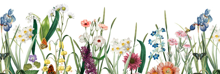 Colorful illustration of various flowers and plants